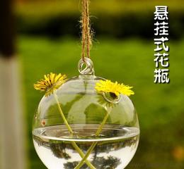 玻璃花瓶花插供應(yīng)信息 玻璃花瓶花插批發(fā) 玻璃花瓶花插價(jià)格 找玻璃花瓶花插產(chǎn)品上
