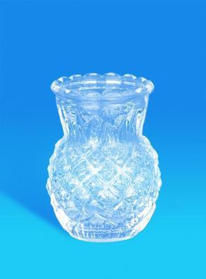 【廠家 供應玻璃瓶 密封罐 透明玻璃儲物罐 菠蘿形瓶】價格,廠家,圖片,其他玻璃包裝容器,徐州嘉隆玻璃制品-